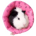 thumbnail image 4 of Ruff Neck Collar Protective Collar Wound Healing Dog Collar Cone Protection Smart Collar Safety for Small Animals Squirrel Guinea Pig Rat, L, 4 of 5