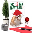 thumbnail image 3 of CAB5940 Happy Face Christmas Joke Greeting Card (12 Pack), 3 of 7