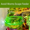 thumbnail image 4 of Reptile Feeder Worm Live Feed Container Chameleon Bowl Water Tray Gecko Ledge Sucker Feeder, 4 of 4