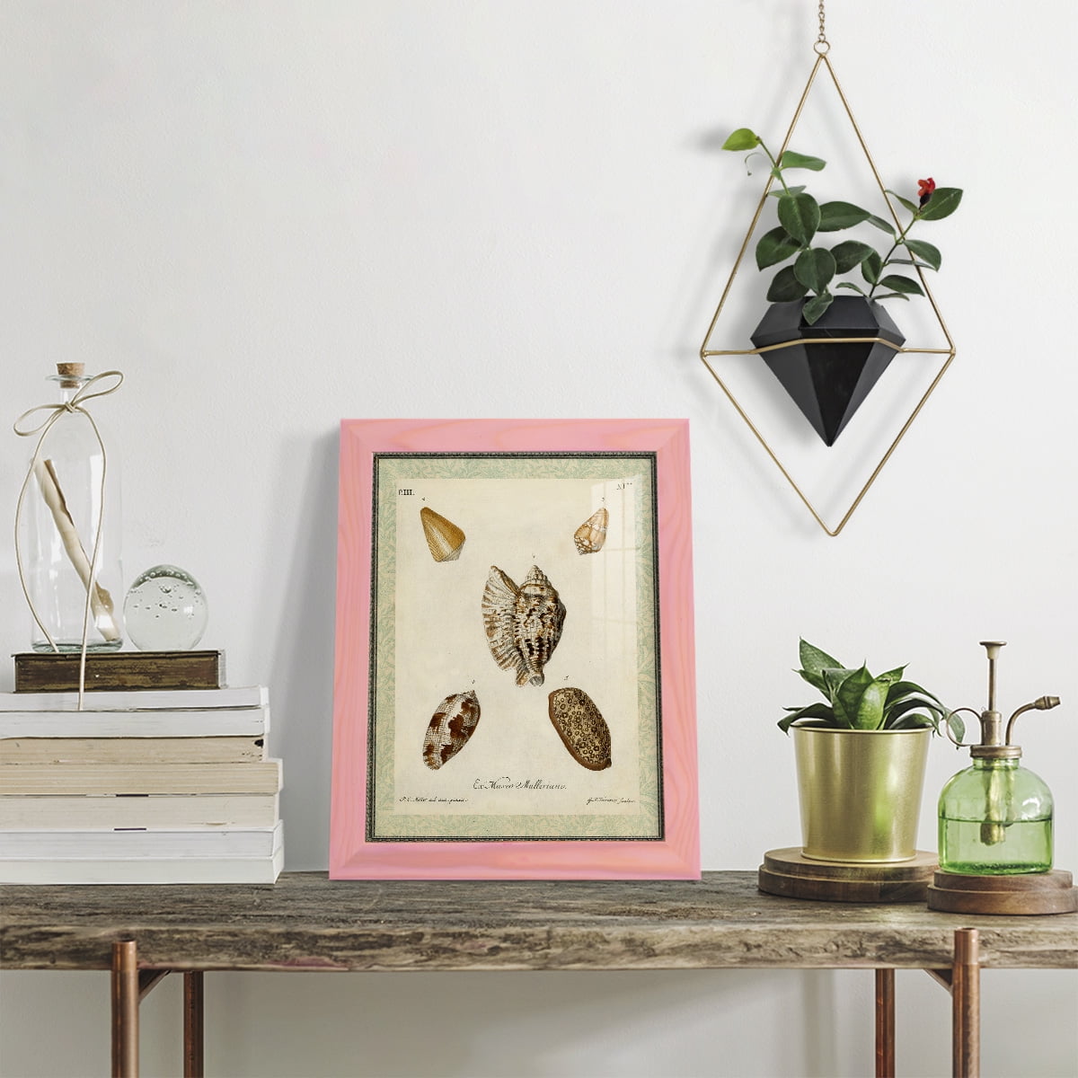 Bookplate Shells II - Framed Print w/glass - Sunset Pink