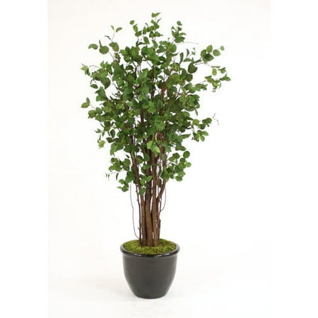 Distinctive Designs Elm Tree in Planter