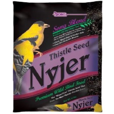 Song Blend Nyjer Thistle Seed, 2 lb.