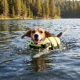 thumbnail image 2 of Vibrant Life High-Visibility Dog Floatation Device, Yellow, M, 2 of 15