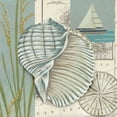 thumbnail image 2 of Zarris, Chariklia 15x15 White Modern Wood Framed Museum Art Print Titled - Seaside Shell I, 2 of 4