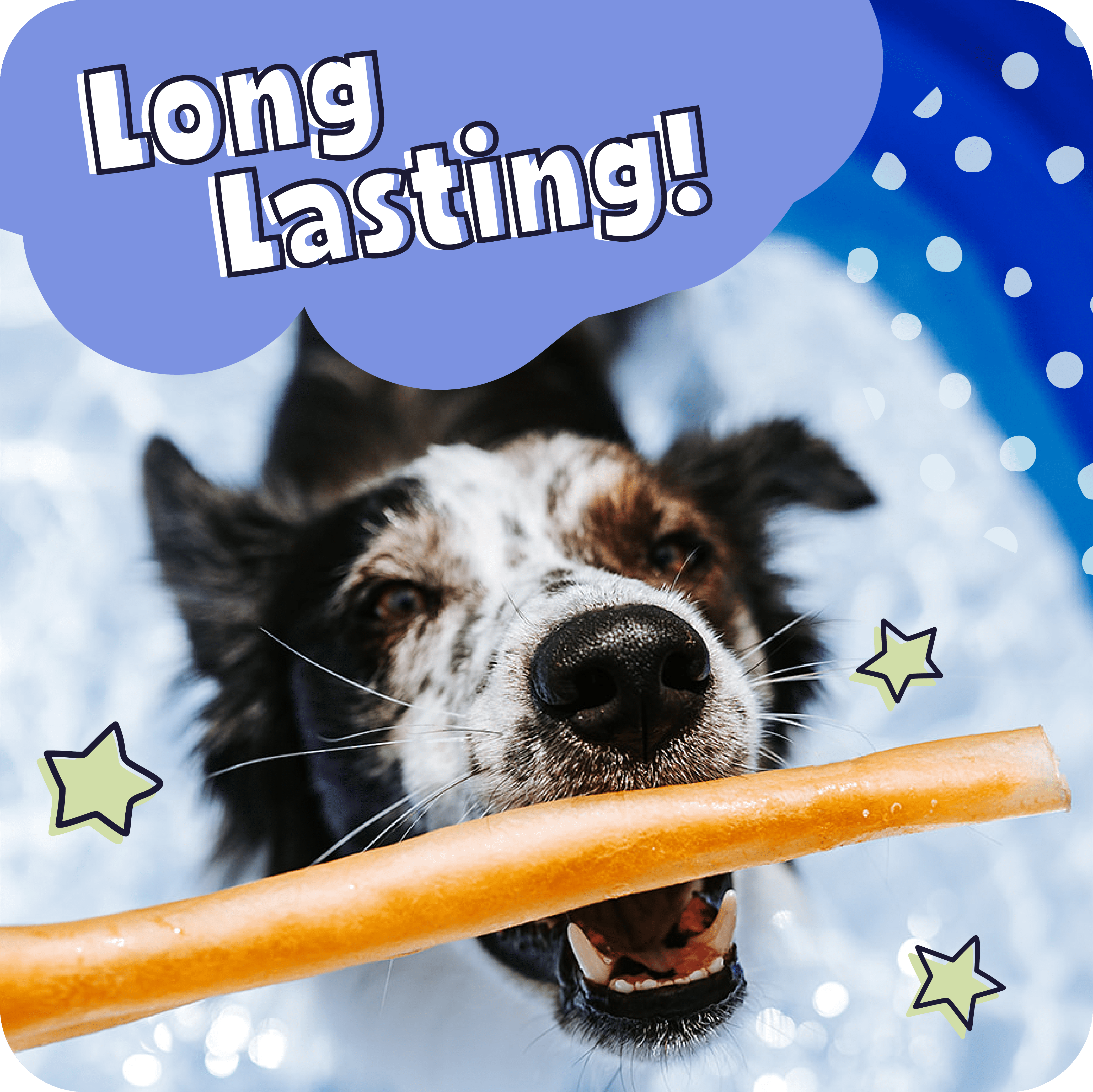 Pawstruck Natural Large 12" Beef Collagen Chew Sticks - 5 Count