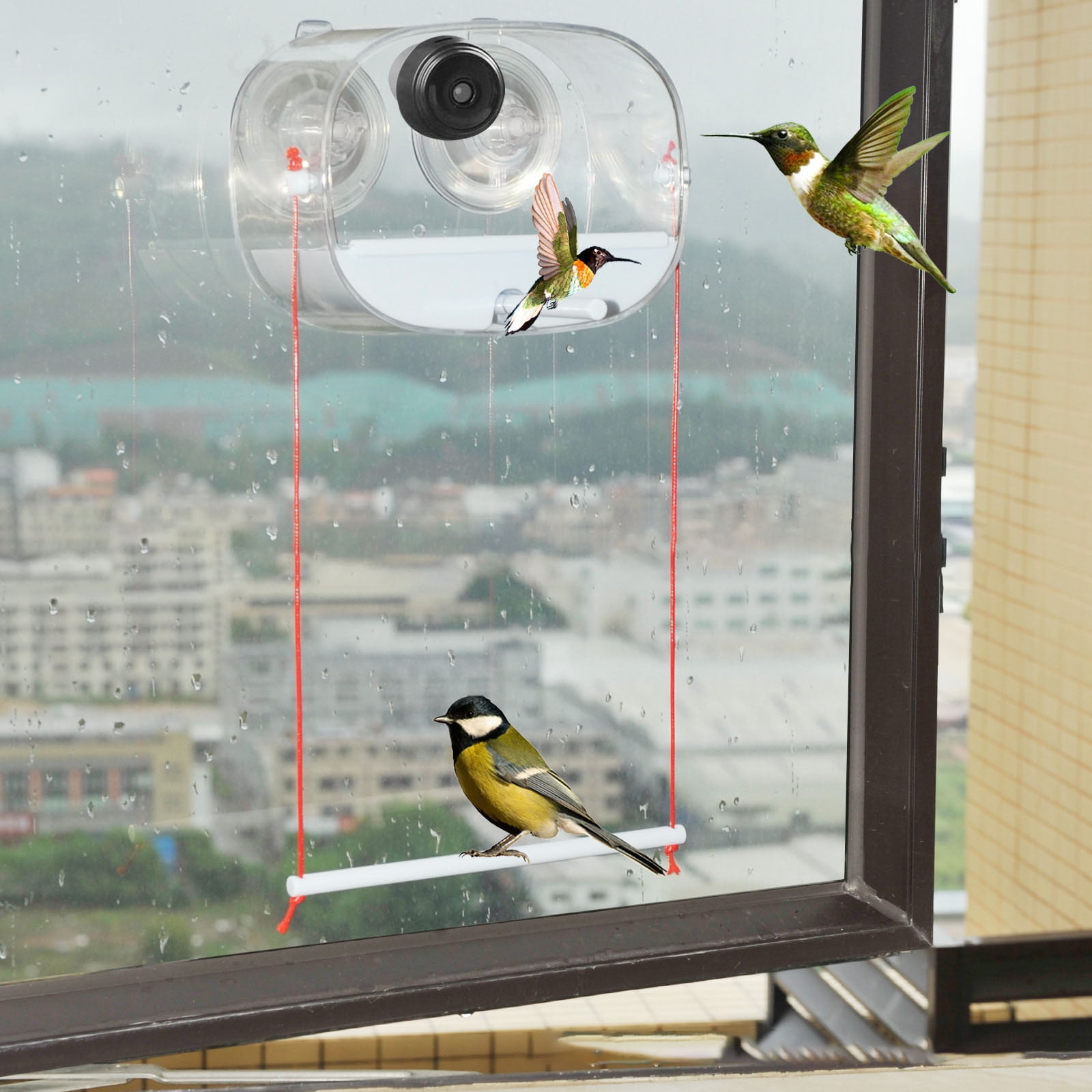 Smart Bird Feeder With Camera 1080P AI Recognition Instant Alerts Auto Video Recording Hummingbird Watching Device For Indoor Outdoor Bird Lovers