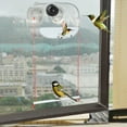 thumbnail image 4 of Smart Bird Feeder With Camera 1080P AI Recognition Instant Alerts Auto Video Recording Hummingbird Watching Device For Indoor Outdoor Bird Lovers, 4 of 4