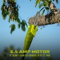thumbnail image 5 of Sun Joe Electric Telescoping 8" Pole Chain Saw, 6.5-Amp, 5 of 10