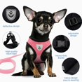 thumbnail image 4 of Typpkmm Dog Harness Walking Lead Leash for Small Dogs Collar Polyester, 4 of 7