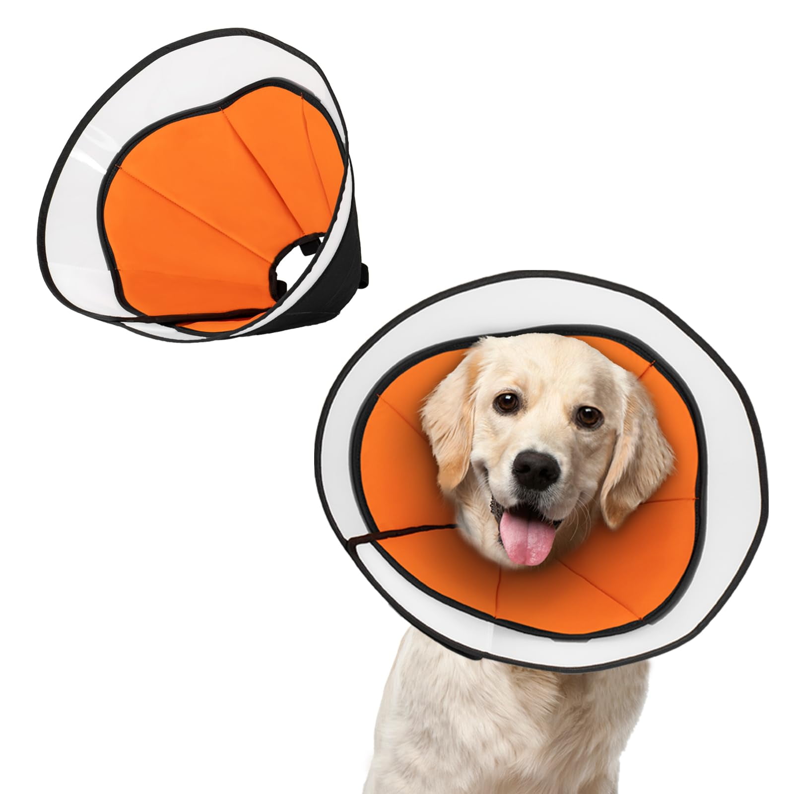 Dog cone collar near me hot sale