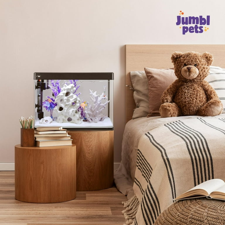 JumblPets Premium Fish Aquarium Kit, Small Rectangular Glass 21