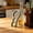 Multifunctional Bottle Opener Under $5 a3, variant on Yannianjz Plastic Bottle Opener, Secure Cap Twister, Multifunctional Jar Lid Helper, Jar Lid Gripper for Kitchen Home Camping Trip