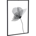 thumbnail image 1 of Zuo A12240 Décoration Murale Springbook&44; Noir Mat, 1 of 6