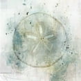 thumbnail image 2 of Roko, Ken 26x26 Gold Ornate Wood Framed with Double Matting Museum Art Print Titled - Coastal Mist Sand Dollar, 2 of 4