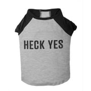 Vibrant Life Gray Heck Yes Raglan Shirt for Dogs or Cats, Size XXSmall