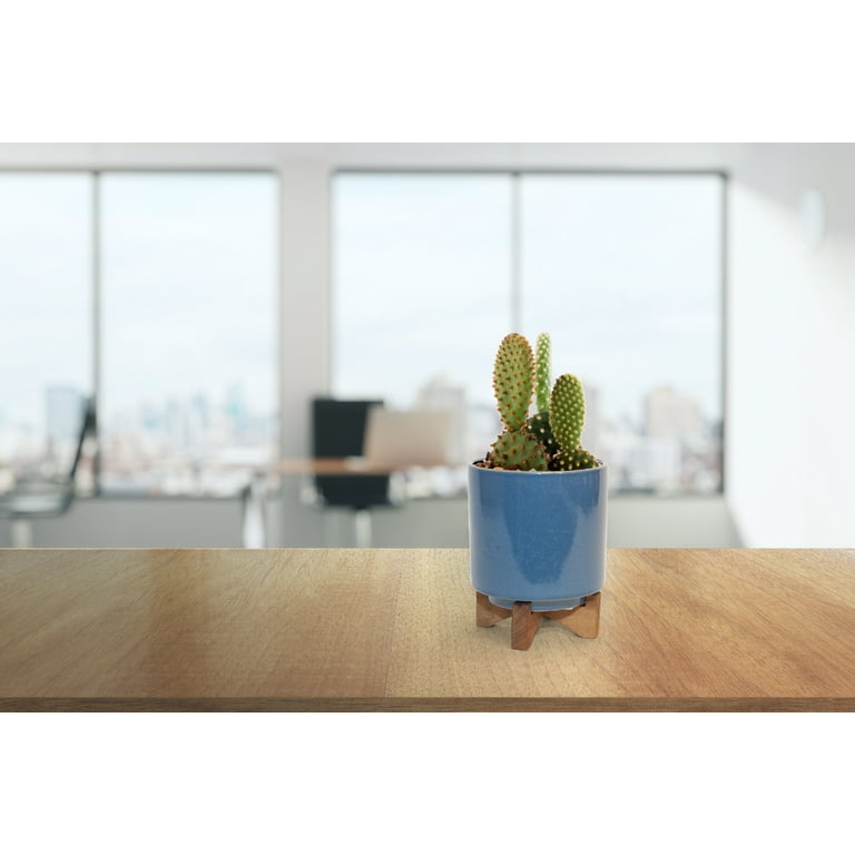 Ceramic Planter on Wood Stand - Indoor/Outdoor Decorative Pot