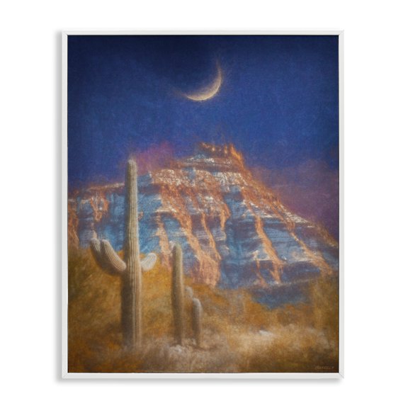 Stupell Industries Rustic Lodge Desert Canyon at Night White Framed Giclee Art, 16 x 20, by Dan Meneely