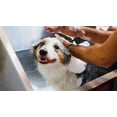 thumbnail image 3 of Dog and Cat Shampoo Baking Soda Fresh Cotton Scent Plus Soft and Odor Free Coat (1 Gallon), 3 of 7