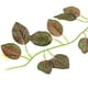 thumbnail image 3 of 5 piezas de de árbol de artificial para terrario de : crea un escondite natural para y anfibios Tipo 2, 3 of 8