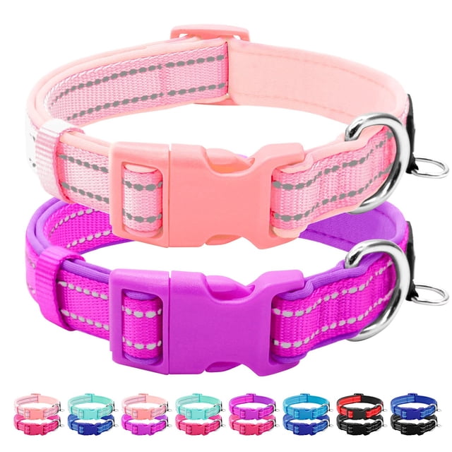 Collar acolchado de neopreno azuza para perros pequeños, color morado y rosa