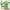 Apple Green, variant on SERWALL Outdoor Adjustable Folding HDPE Adirondack Chairs Set of 2 with Cup Holder, Gray