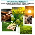 thumbnail image 5 of Organic Shape Slimmer Tea Pods for Keurig Brewers by Teavity - Naturally Caffeinated, 24 Tea Pods, 5 of 9