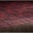 thumbnail image 5 of Sparx Médaillon Rouge Vieilli Lavable Tapis Moderne 6'X9', 5 of 5