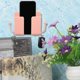 thumbnail image 5 of 5PCS Wall Phone Holder Holder Self-Adhesive Wall Mount Phone with Hooks Plastic Wall Organizer, 5 of 5
