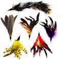 thumbnail image 1 of Pack de Plumes de Remplacement Multi-Pièces Plus Bonus Queue Douce pour Jouet Interactif pour Chat et Chaton, 1 of 7