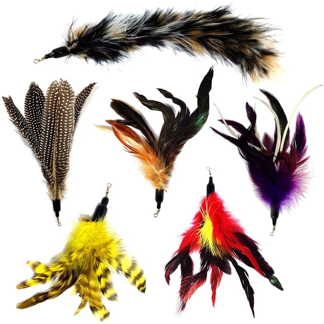 Pack de Plumes de Remplacement Multi-Pièces Plus Bonus Queue Douce pour Jouet Interactif pour Chat et Chaton