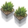 thumbnail image 4 of Transparent Self Watering Planter, 2pcs Flower Pot, Plant Container Gift Lazy People For Hydroponic Soil Cultivation, 4 of 8