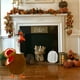 thumbnail image 5 of Thanksgiving Porch Turkey Decoration Is Suitable For 23-in Decoration, 5 of 6