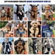 thumbnail image 4 of Pet Carrier Backpack, Adjustable Pet Front Cat Dog Carrier Backpack Travel Bag, Legs Out, Easy-Fit for Traveling Hiking Camping for Small Medium, 4 of 5