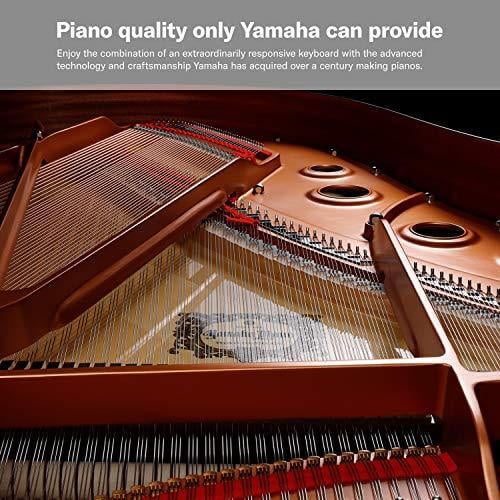 Yamaha 2024 p125 walmart