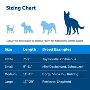 PetSafe Martingale Collar with Quick Snap Buckle