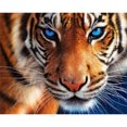 thumbnail image 2 of Cuadros Decorativos Tigre de diamante cuadrado pintado con diamante 5D DIY (ZQF2405) Tmvgtek embutido en tela, 2 of 6