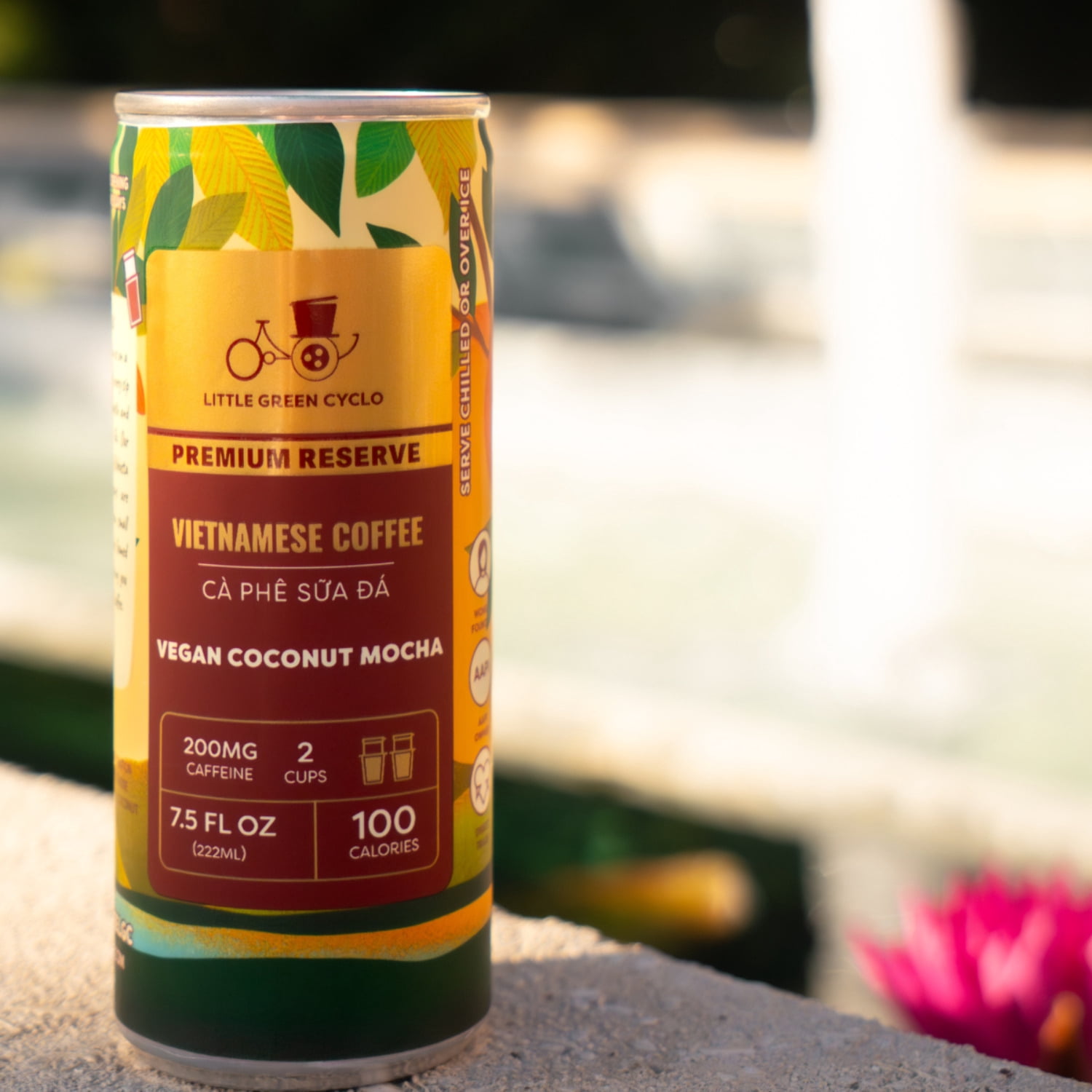 Little Green Cyclo Vietnamese Coffee Vegan Coconut Mocha Ready-to-Drink Naturally Caffeinated 12-Pack 7.5 oz