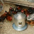 thumbnail image 2 of Miller 9835 Poultry Fount, 5 Gallon, 2 of 3