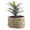 A, variant on Miyuadkai Artificial Pineapple Head Potted Plants Rattan Pots, Style Desktop Green Plant Decoration, Artificial Pineapple Head Potted Plant A, Realistic Look