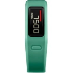 Garmin v��vofit Sleep/Activity Monitor