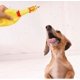 thumbnail image 4 of Juguetes para perros de pollo gritando, juguete de pollo chirriante de goma amarilla, novedad y pollo de goma duradero para perros, valor de pollos de goma, paquete de 3 MFZFUKR CQ591-2, 4 of 6
