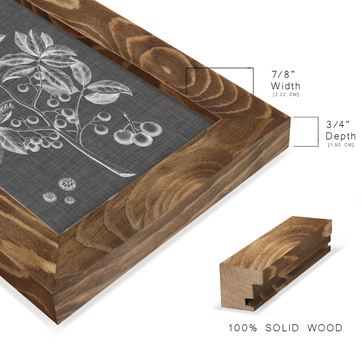Graphic Foliage VI - Framed Print w/glass - Walnut