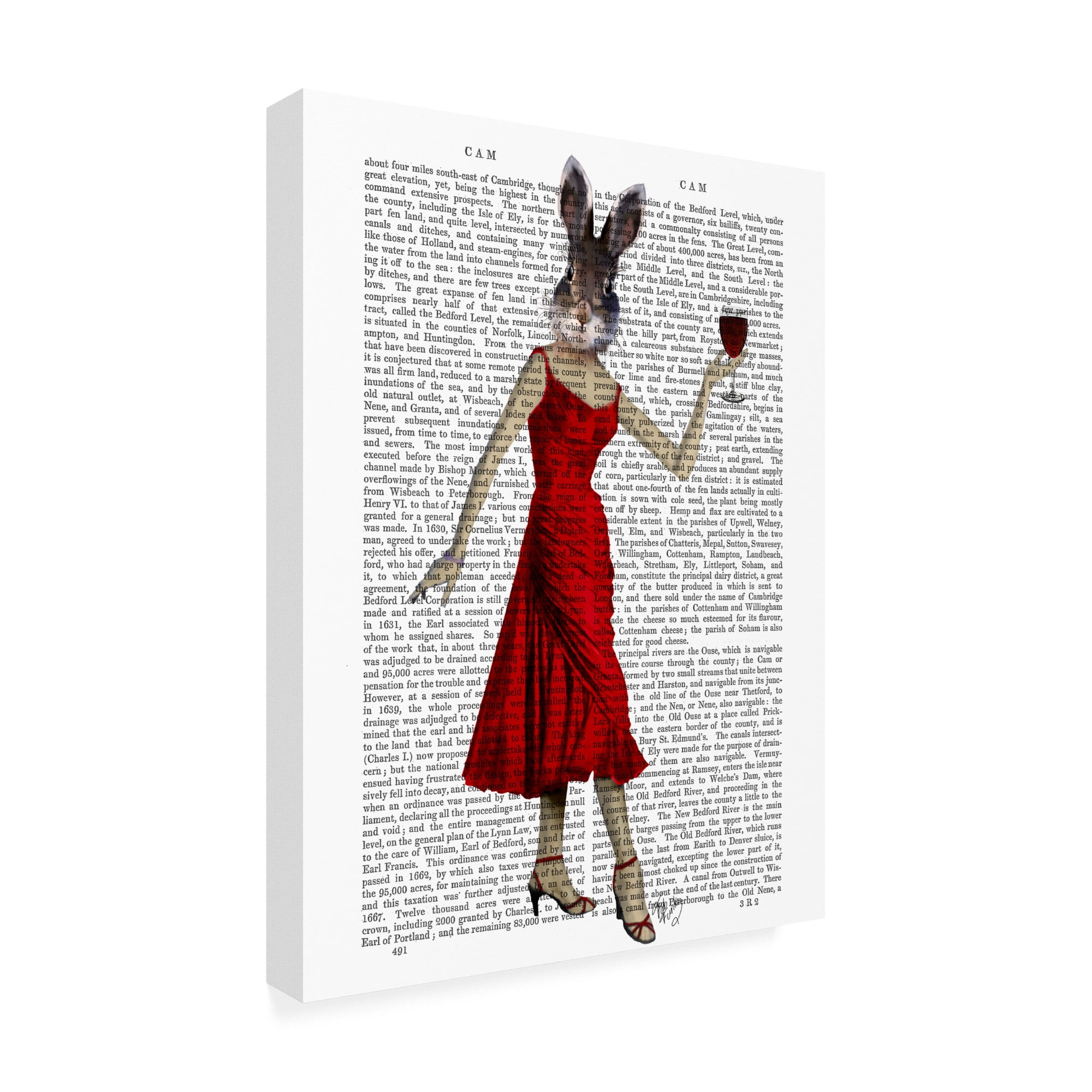 Trademark Fine Art 'Rabbit In Red Dress' Canvas Art by Fab Funky