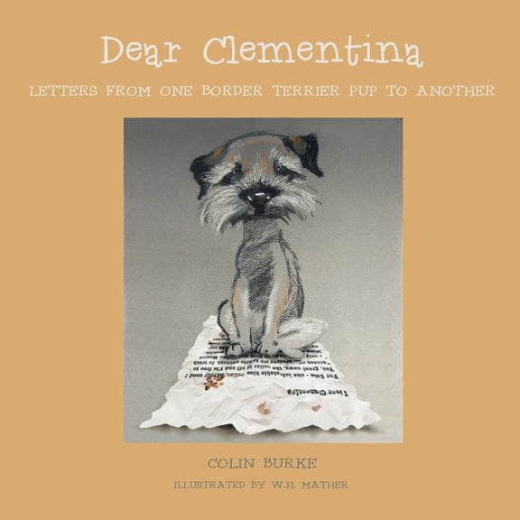 Dear Clementina, (Paperback)