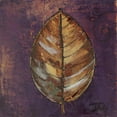 thumbnail image 3 of Pinto, Patricia 12x12 Black Modern Framed Museum Art Print Titled - New Leaves I, 3 of 5