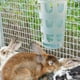 thumbnail image 1 of Alimentador de heno para conejos, dispensador de heno para conejos, contenedor de comida, jaula, cuenco de alimentación para mascotas, hurón, erizo, Azul, 1 of 8
