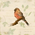 thumbnail image 2 of Loreth, Lanie 15x15 White Modern Wood Framed Museum Art Print Titled - Bird Scene I, 2 of 4
