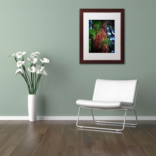 Trademark Fine Art "Giant Sequoia" Canvas Art by Philippe Sainte-Laudy, White Matte, Wood Frame
