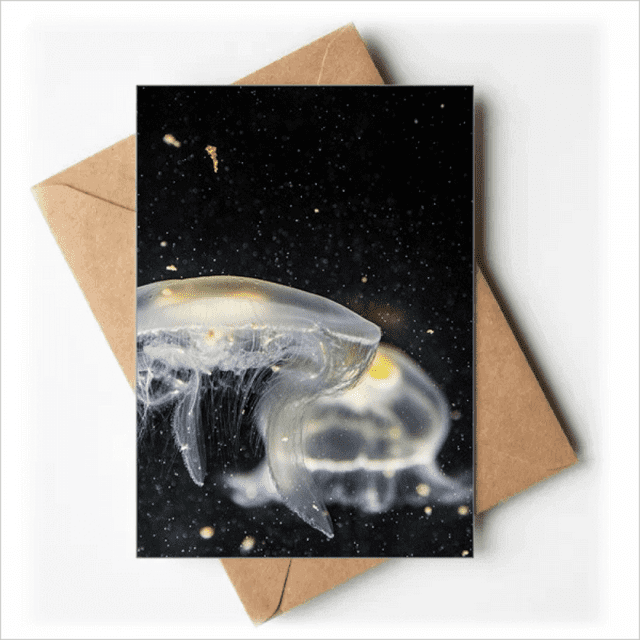 Ocean Méduses Science Nature Image Cartes de Voeux Vous Êtes Invités Invitations