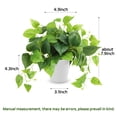 thumbnail image 2 of Planta artificial CEWOR Pothos Scindapsus Aureus de 20 cm con maceta, 2 of 7